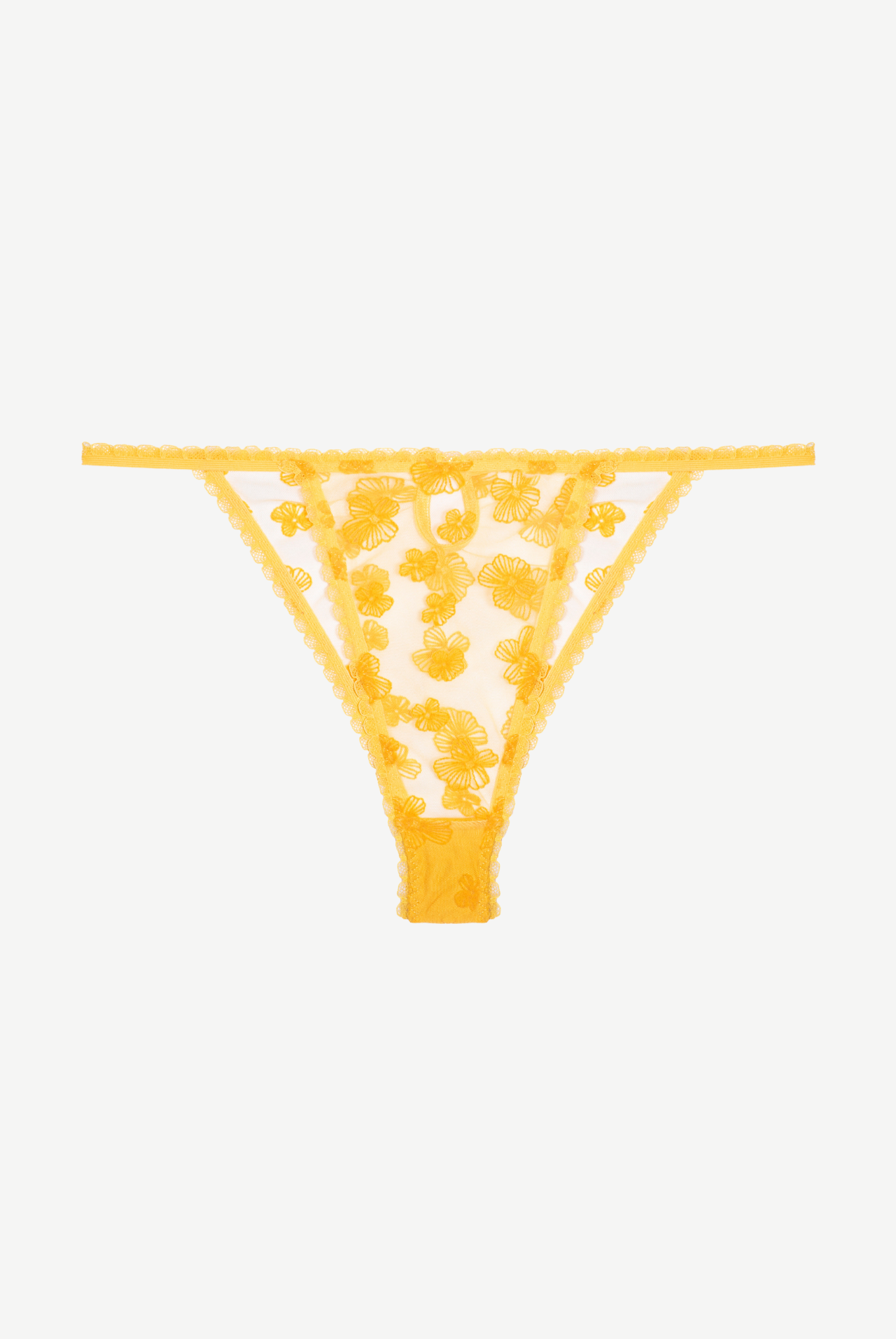 HIBISCUS figi