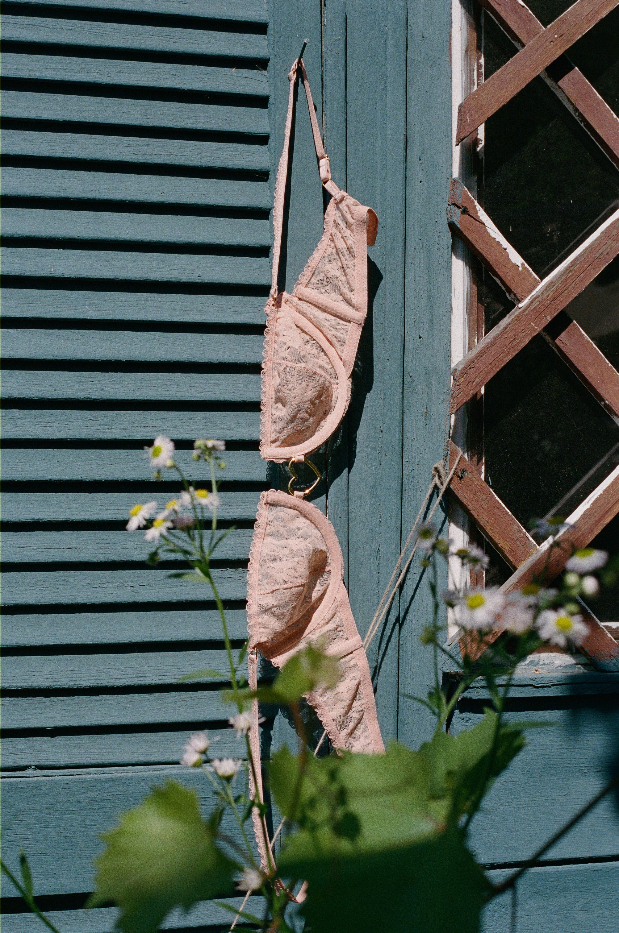 decortive image