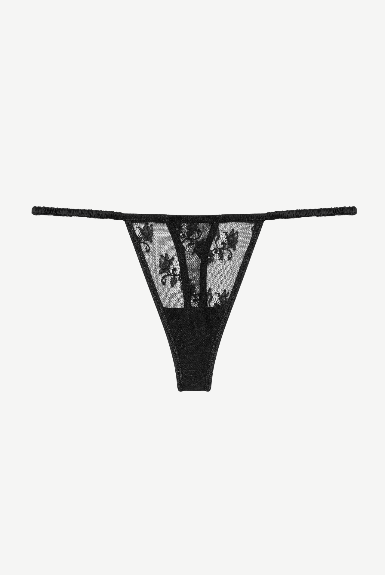 CÈDRE stringi